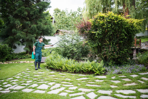 Best Lawn Renovation and Restoration  in Marion, TX